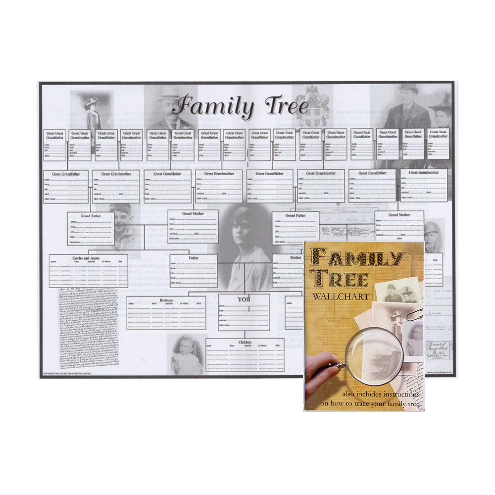 Family Tree Wallchart - TimeLine Gifts