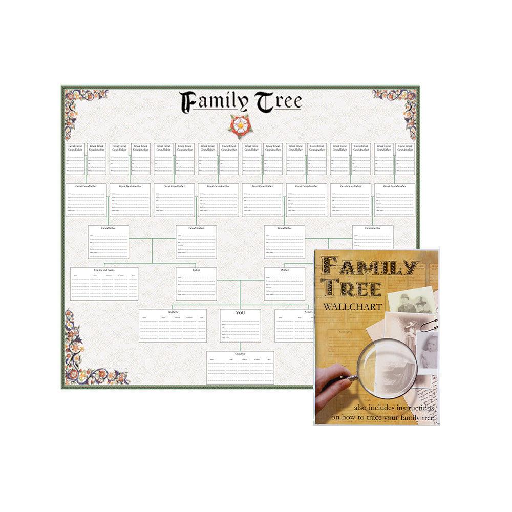 Family Tree Wallchart - Tudor - TimeLine Gifts