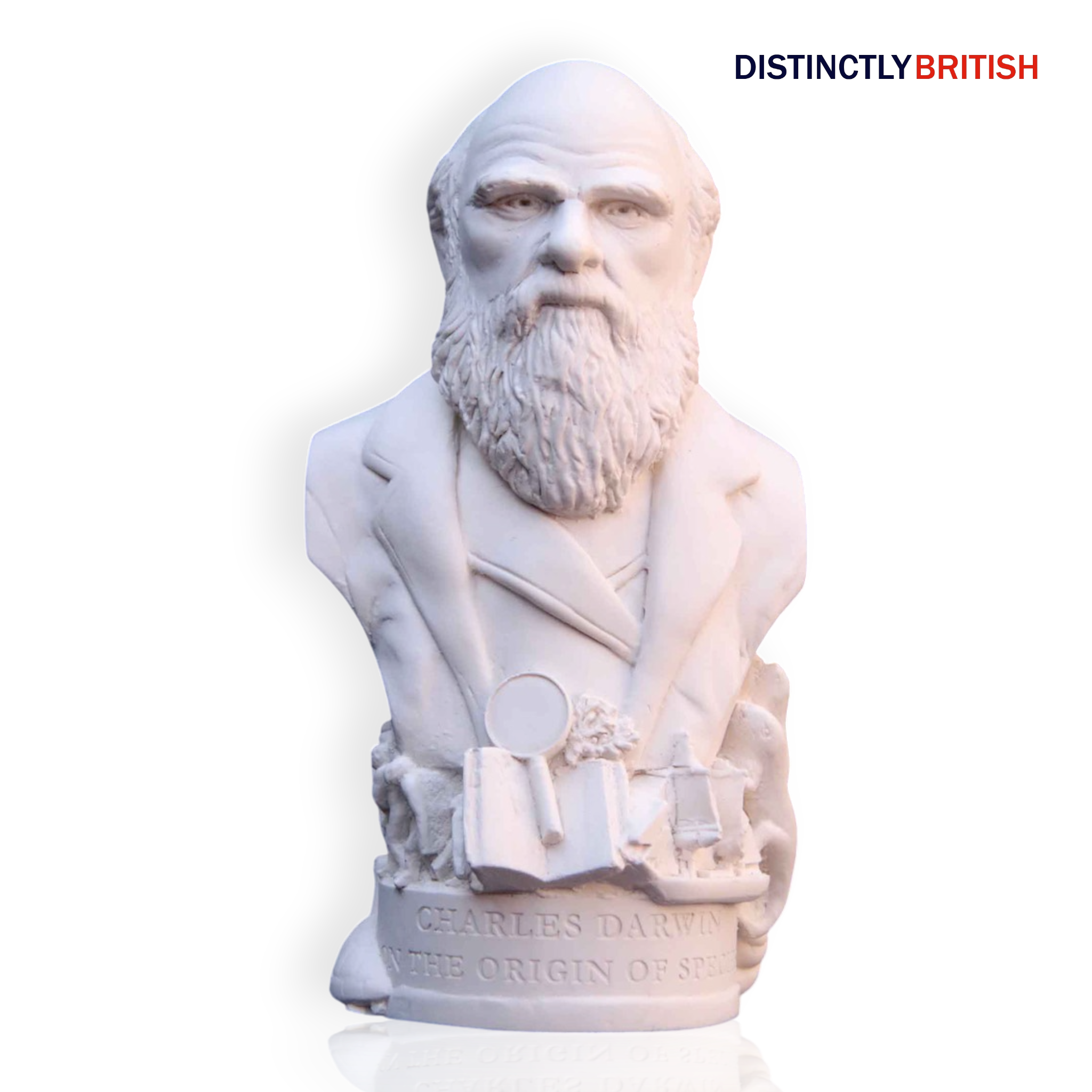 Bust - Charles Darwin - Distinctly British